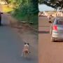 Cena registrada por leitora mostra o desespero e a lealdade do cão mesmo após ser deixado para trás