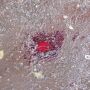 V&iacute;tima teria sido acusada de furtar a loja de aparelhos do suspeito