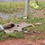 Claudemar seria faccionado, com várias passagens pela polícia