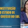 Candidata praticamente copiou lei 