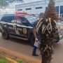 A mulher criou perfis em redes sociais para fingir ainda manter um relacionamento com a v&iacute;tima