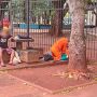 A vítima chegou a ser reanimada pelo Corpo de Bombeiros antes de ter o óbito constatado