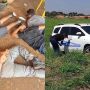 Suspeitos foram localizados horas ap&oacute;s vigilante ser rendido e agredido durante invas&atilde;o ao p&aacute;tio de secretaria