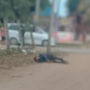 A v&iacute;tima teria sido atacada enquanto caminhava