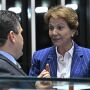 Tereza diz ser pr&eacute;-candidata ao Senado 