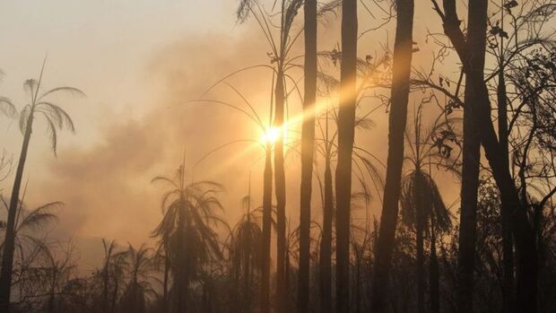 Riedel decreta situação de emergência devido à alta incidência de queimadas na região do Pantanal