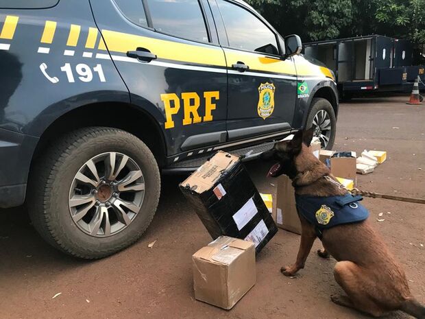 PRF faz operação contra drogas enviadas pelos Correios em Campo Grande