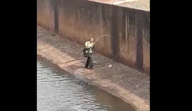 Vídeo: pescador pega peixes em córrego com esgoto e vende para cidade inteira de MS