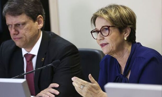 Ministra Tereza Cristina destaca investimentos em aviação no MS