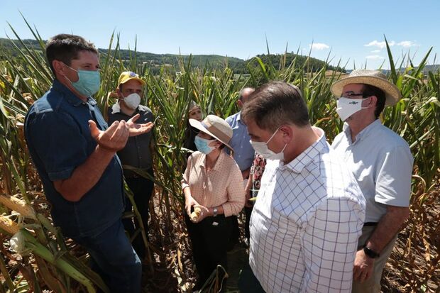 Ministra Tereza Cristina visita produtores rurais afetados pela estiagem em Naviraí