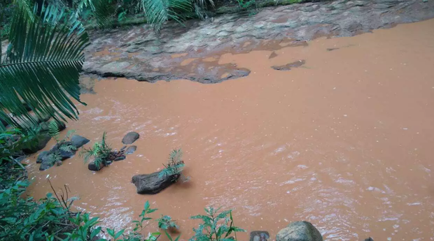 Córrego das Antas é atingido por lama e águas cristalinas desaparecem