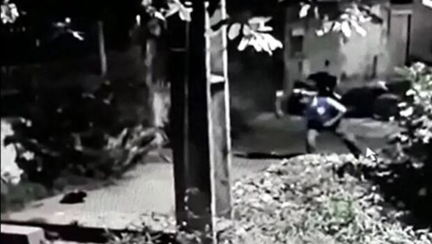 Homem atira pedra em gato e moradora quer deixar suspeito 'famosinho' no Cohafama (vídeo)