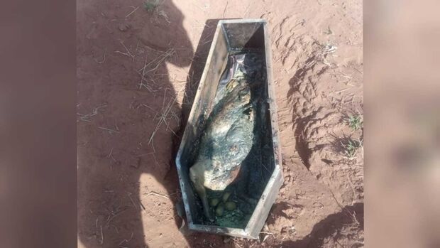 Funcionário encontra caixão de criança em Campo Grande (vídeo)