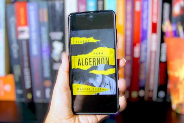 Top Literário: Flores para Algernon questiona inteligência e sociedade em escrita sensível