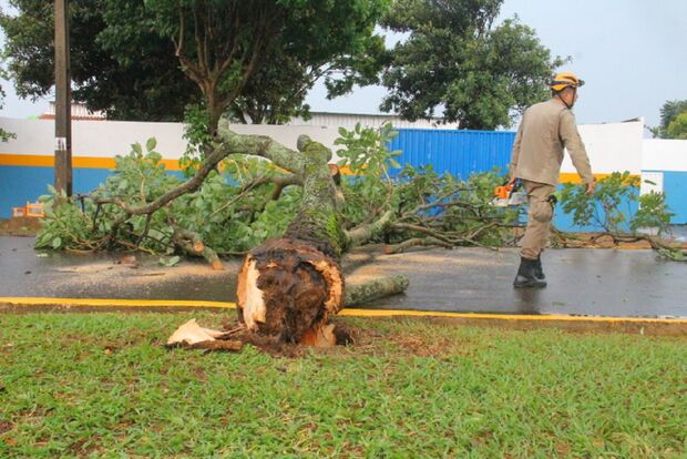 Queda de árvores e coberturas: chuva e granizo deixam estragos em Chapadão do Sul 