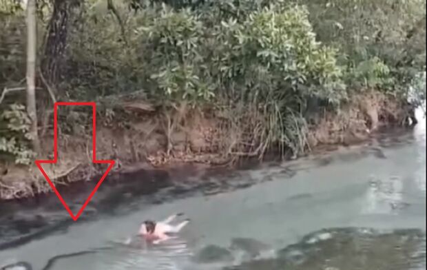 Turista tromba com sucuri e vira 'nadadora olímpica' para sair de rio em Bonito (vídeo)