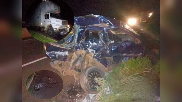 Casal e criança morrem ao bater carro em caminhão na BR-262, em Ribas do Rio Pardo