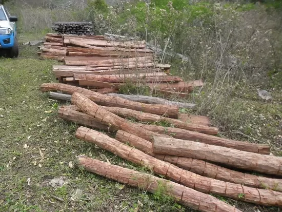 Fazendeiro é autuado em R$ 6 mil por armazenamento ilegal de madeira em Bodoquena