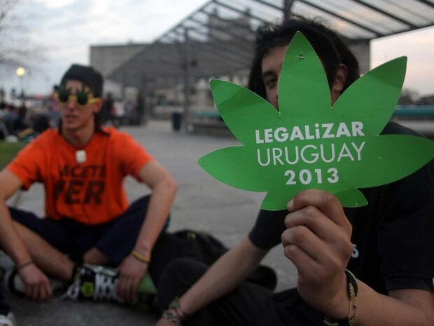Uruguai aprova Lei da Maconha