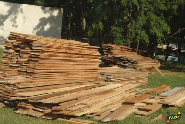 PMA autua empresa de Rondônia com caminhão com carga de madeira ilegal