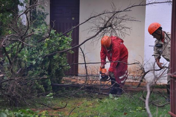 Temporal derruba árvores e deixa moradores sem energia na Capital