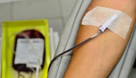 Em SP, homem contrai zika por transfusão de sangue, confirma Hemocentro 