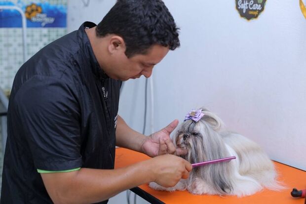 Melhores amigos do homem, cães recebem tratamento VIP em espaço pet