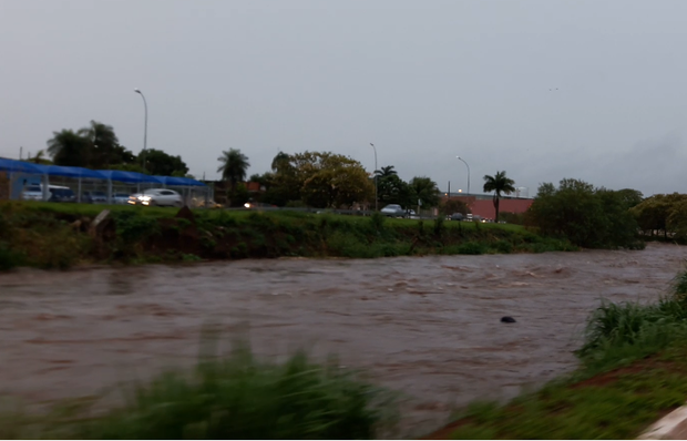 VÍDEO: Árvores caem e Córrego Segredo quase transborda durante temporal em Campo Grande