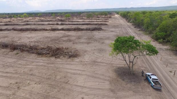 Fazendeiro é autuado em R$ 125 mil por desmatar 124 hectares de cerrado perto de Coxim