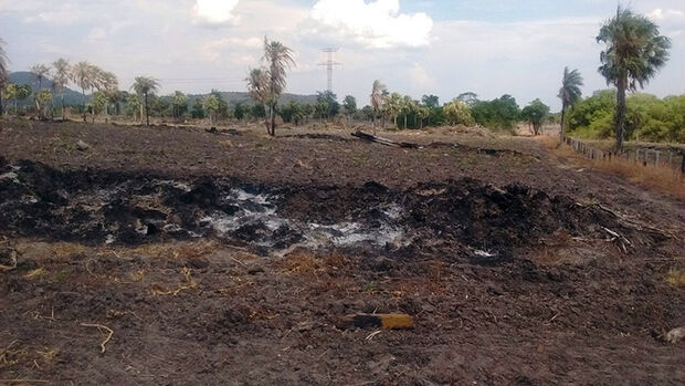 Por queimar vegetação no Pantanal, fazendeiro é multado em R$ 22 mil
