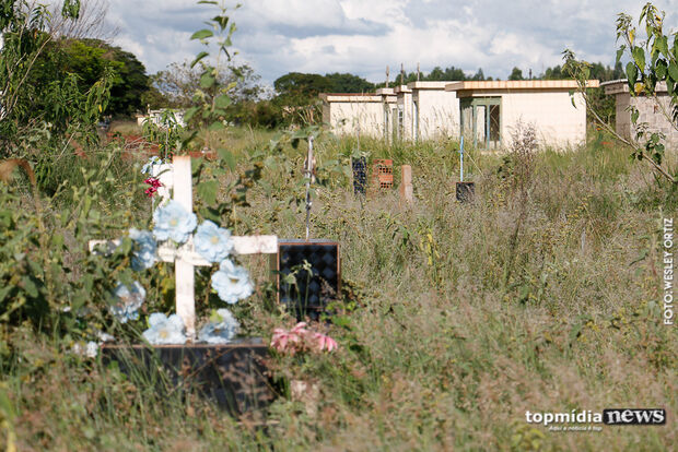 Abandonado, cemitério Santo Amaro é tomado por matagal e entulhos