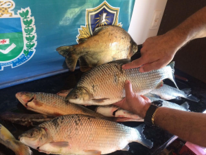 PMA desmonta acampamento ilegal e apreende 14 quilos de pescado
