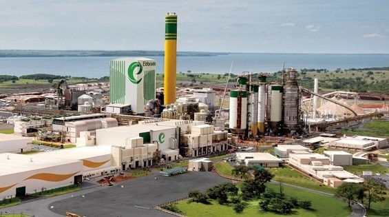 Empresa da J&F, Eldorado Brasil vai investir R$ 156,8 mil em compensação ambiental em MS