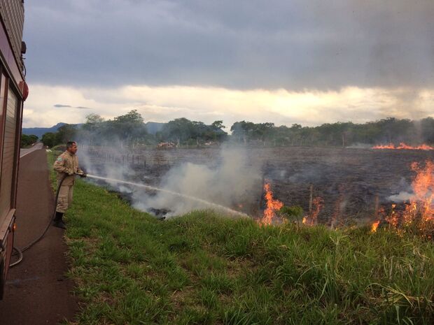 Após geada, Bombeiros reforçam alerta de incêndio em vegetações em 19 municípios de MS