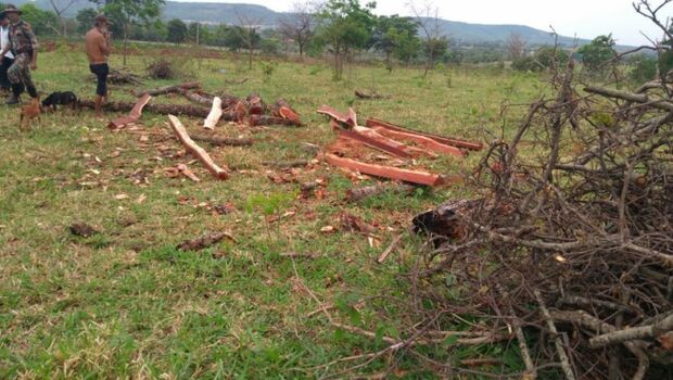 Moradores de assentamento são multados por retirar madeira de reserva florestal
