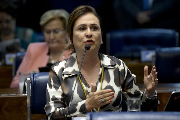 Conselho de Ética do PMDB decide expulsar a senadora Kátia Abreu