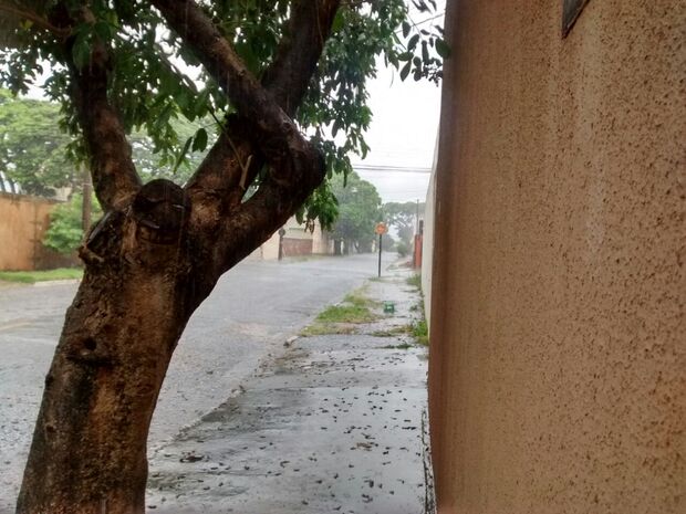 Chuva forte atinge região central de Campo Grande; uma árvore caiu