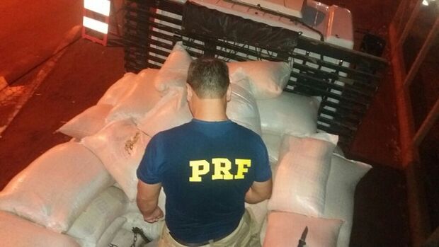 PRF apreende 13 kg de sementes de maconha misturadas a sacos de milho