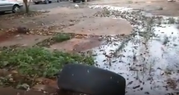 VÍDEO: morador denuncia água 'jorrando' de calçada na Vila Jacy