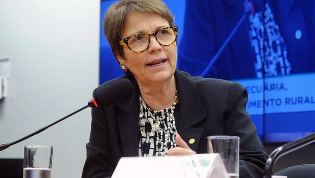 VÍDEO: líder da bancada ruralista, Tereza Cristina ganha apoio de Bolsonaro