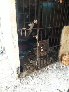 Detentos depredam celas após receberem frango para o almoço
