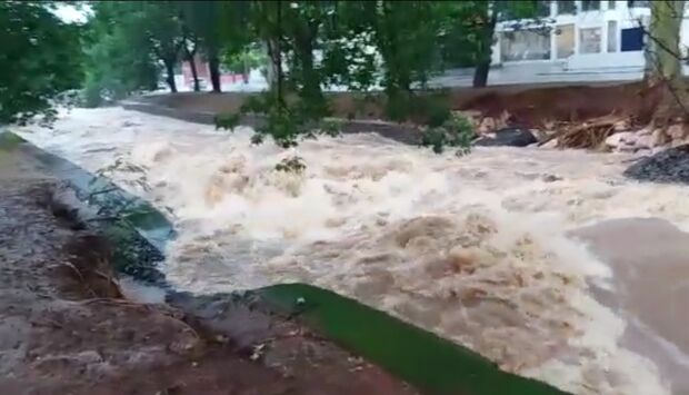 VÍDEO: chuva pega Defesa Civil de surpresa, enche córrego e derruba árvore em Campo Grande