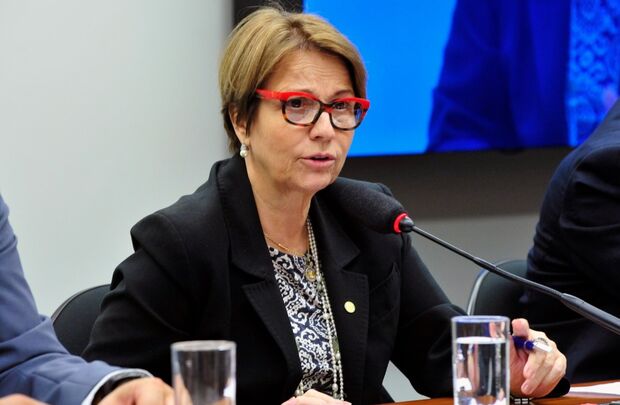 Citada por delatores da JBS, Bolsonaro defende Tereza Cristina