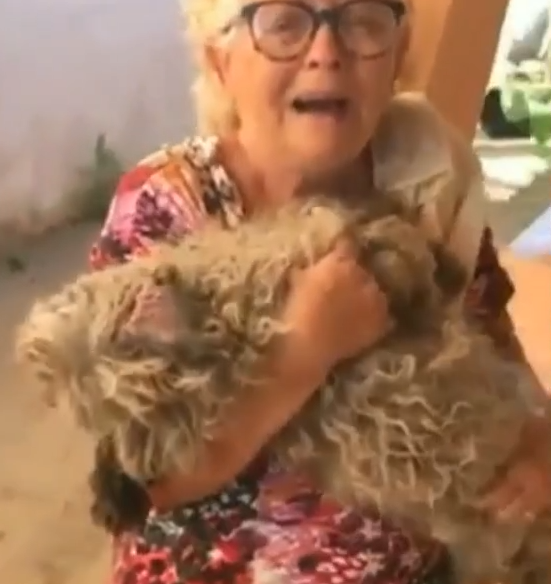 VÍDEO: cadela é morta a pauladas na frente da família