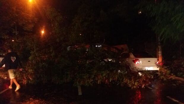 Com a casa alagada, morador teve que abrir buraco na parede e ainda perdeu muro após árvore cair