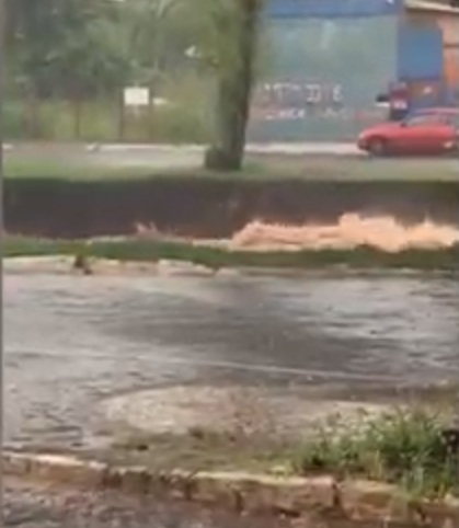 VÍDEO: durante chuva forte, Córrego Segredo quase transborda em frente ao Horto Florestal