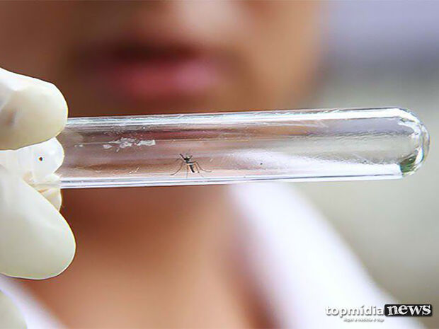 Campo Grande registra mais de 6,4 mil casos de dengue; duas mortes são investigadas