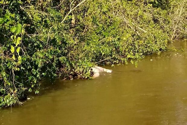 Cadáver enroscado em galhos em rio é achado pela manhã, mas desaparece pela tarde