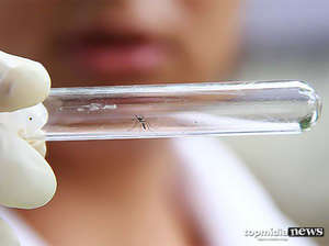 Mais uma vítima: mulher morre com suspeita de dengue hemorrágica em MS