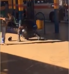 VÍDEO: passageiro ‘caloteiro’ cai na porrada com segurança e é preso